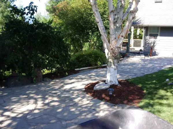 Cascadia Landscape,Retaining wall,Pavers,Fences,sprinkler syst