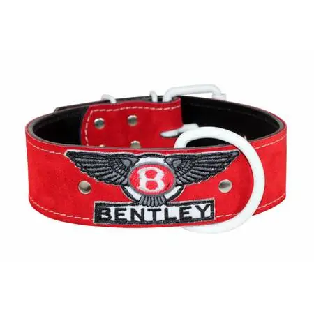 TAG! YOUR DOG IS IT--CUSTOM COLLARS