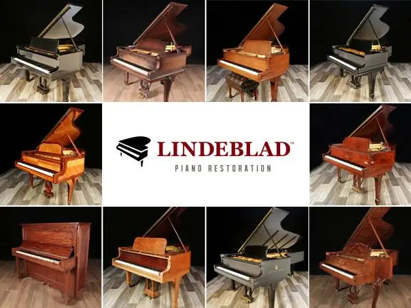 Shop 90+ Steinways - Amazing Value & Free Shipping