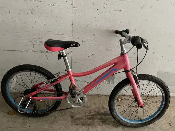 Liv 20 inch wheels Girls Bike for 4-9 years old in working condition
