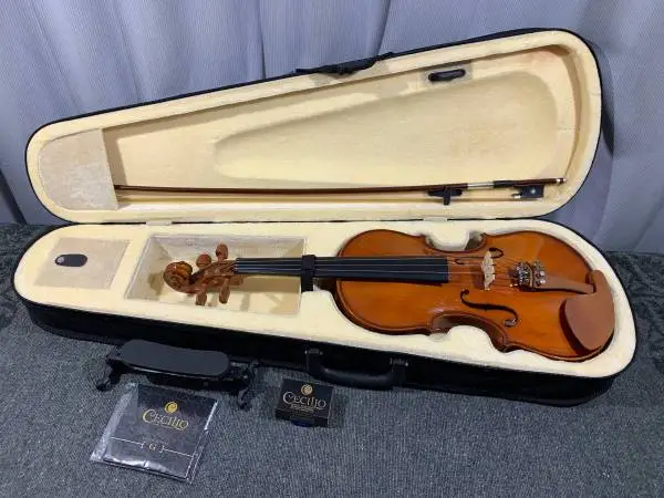 Cecilio CVN-200 Violin