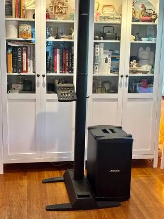 Bose L1 Model 2 with B2 speaker and T1 ToneMatch