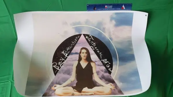 Poster 2 x 3 Teal Swan Print Woman Girl Portrait