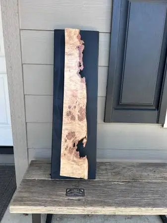 ***Maple Burl Wall Art Contemporary “