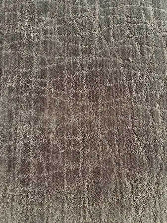 NEW Pattern Textured Carpet