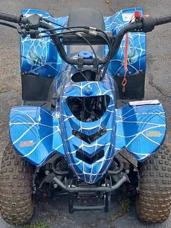 110 TAO quad for sale