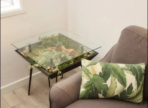 Plant table