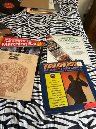OVER 40 VINYL RECORD ALBUMS