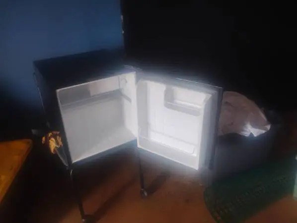 Mini Fridge