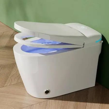 ☆ Smart Toilet with Bidet Built In, One Piece Toilet with Auto Open &