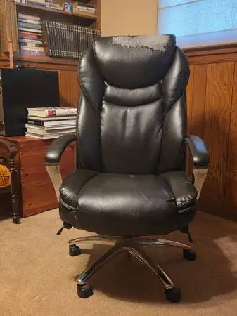 Serta Executive Office Chair