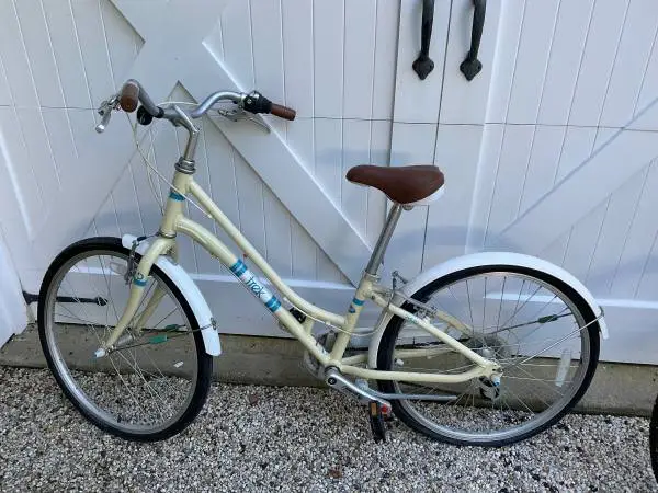 Beautiful Trek Girls Bike (20) - Excellent Condition & Ready to Ride!