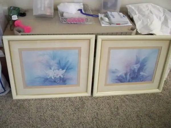 (2) Off-White /  Ivory Wood Wall Pictures ~ 24 by 20 ~ Matted Floral