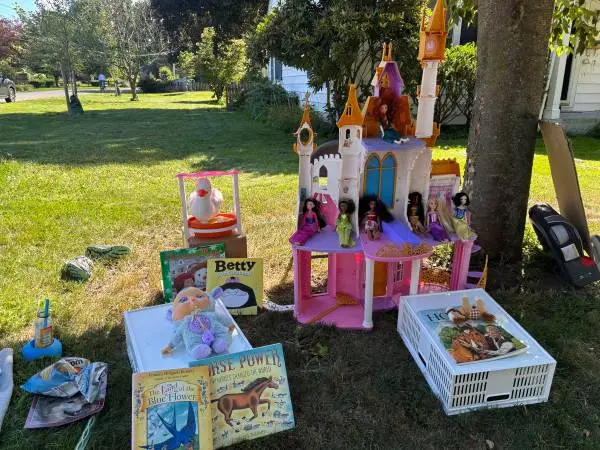 Toys-Castle, Barbies, books, mauis hook, helmets &