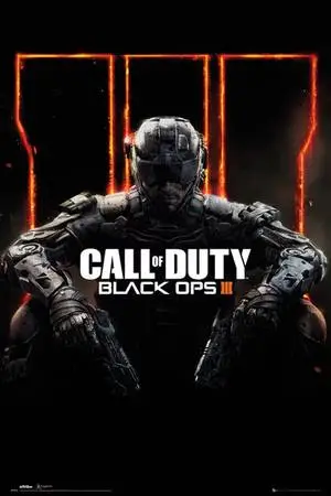Call of Duty Black OPS  22x34