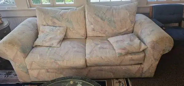 Sofa and loveseat set