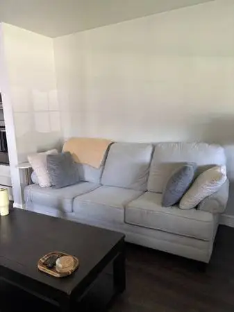 Couch and Coffee Table