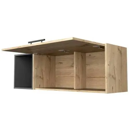 Wall Shelf with Vertically Lifting Door