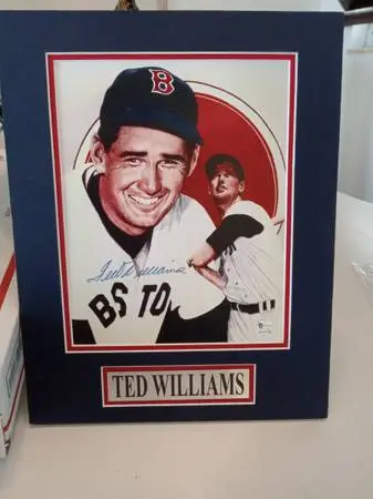 TED WILLIAMS