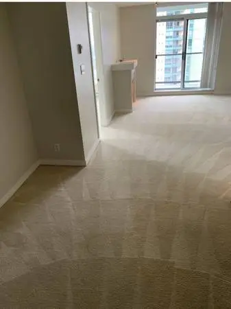 🇨🇦NORTH VANCOUVER & DOWNTOWN PROFESSIONAL CARPET CLEANI 778-988-6363