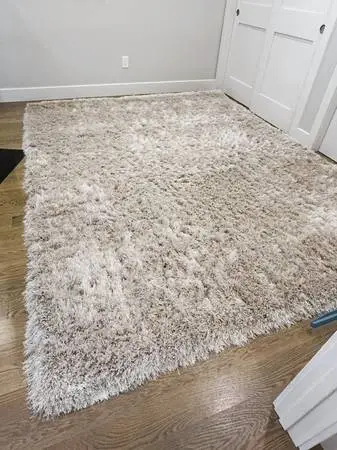 HAND-TUFTED SPARKLE SHAG RUG IN CHAMPAGNE COLOR, 7.6’ x 9.6’