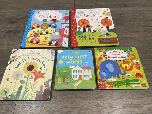 USBORNE LIFT THE FLAP NUMBER & FIRST MATH, FIRST WORDS, FLOWERS ~PLUS!