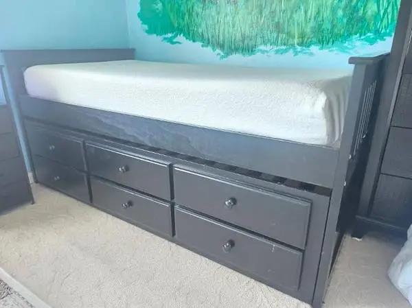 TWIN BEDS WITH MATTRESSES + ROLL-OUT HIDEAWAY BED – $199