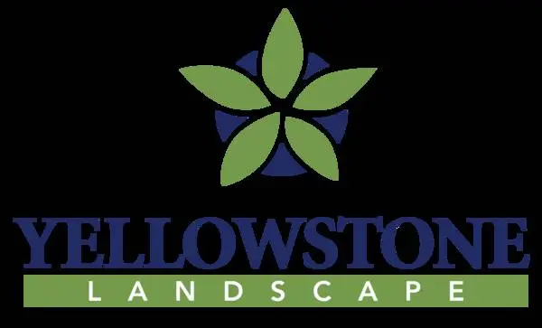 Business Development Manager