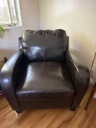 Cost Plus Mason Bi Cast Leather Chair