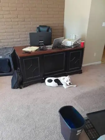 Executive Desk