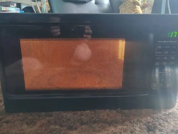 Large Microwave