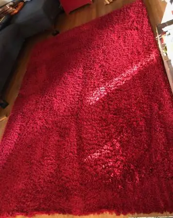 Plush Red Rug w/ high pile: 6.7 x 9.6 (retails for more than $250)