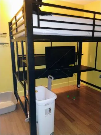 Bed frame; loft bed. (Mattress and TV not included)