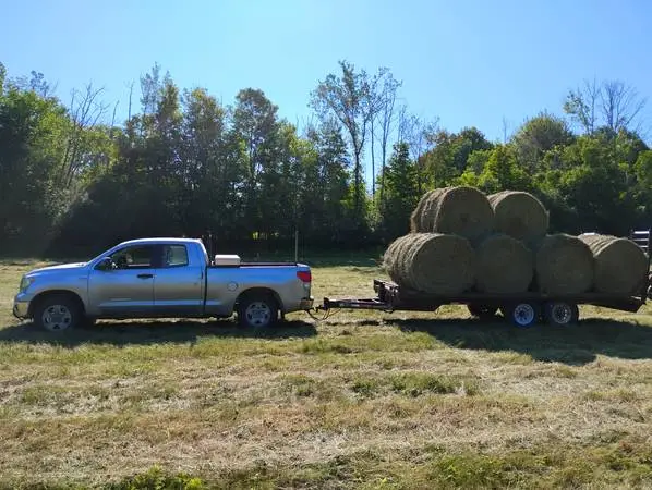 Hay