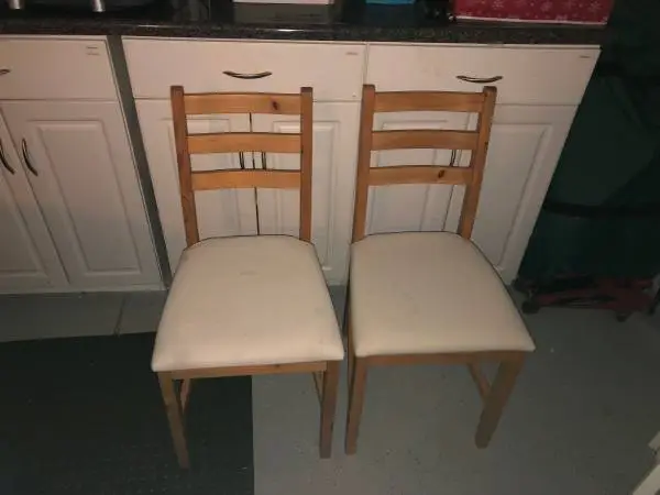 Furniture: Dining Chairs, Ceiling Fan, Toy Organizer
