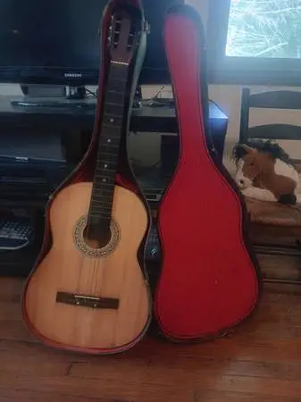 acoustic guitar