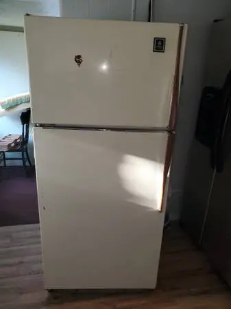 Free working leaking fridge