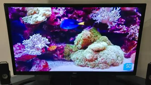 46-Inch TV