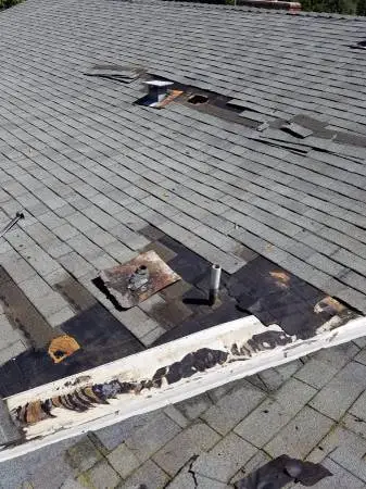Roof Repairs Emergency 🚨 Repairs - Whole Repairs ⛈️ And Patching