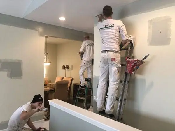🔵Joe#1 Painter, Drywall, Flooring, Fence Stucco Sheetrock, Tile Floor
