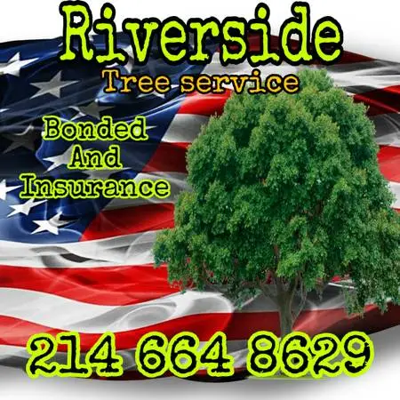 Tree service and garden design stone work