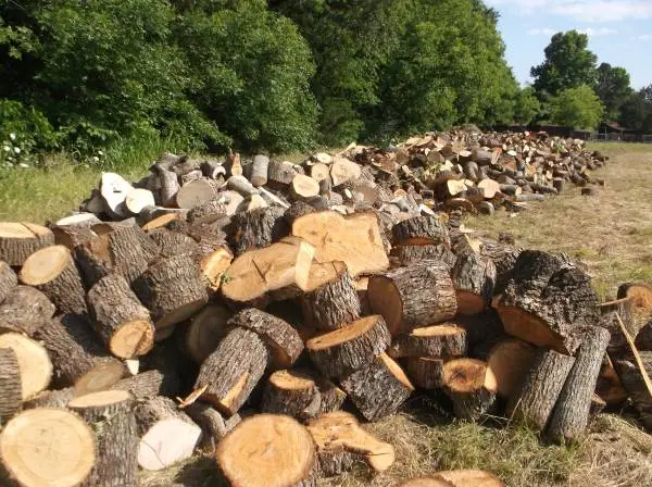 PECAN,OAK,HICKORY WOOD FOR COOKING N SMOKING