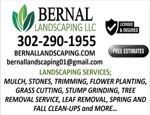 Trimming Service