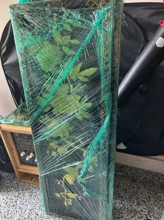 The image shows wrapped panels of a vintage Chinoiserie black lacquer