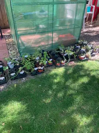 Garden Sale. Text for address please 80126