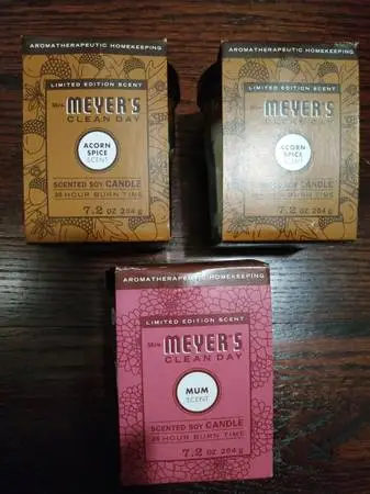 3-PACK Mum + Acorn Spice! Mrs. Meyers Clean Day 7.2 Oz. Soy Candles!