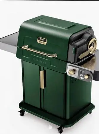 Ninja Flex Flame Grill and Smoker 5 and 1( PG301GN)