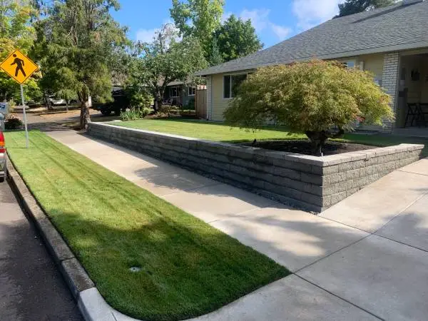 🦚NATURAL & GREEN//🌳 //CLEANUPS//LAWNS & 🦚GARDENS//MAINTENEN