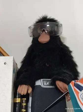 Ape monkey
