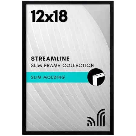 NEW 12 X 18 Poster Frame